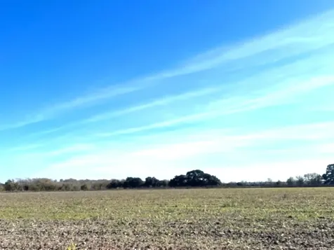 28 Acres Shaws Bend Road Columbus TX 78934
