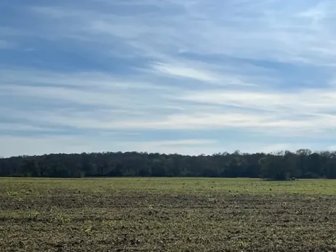 28 Acres Shaws Bend Road Columbus TX 78934