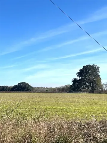 28 Acres Shaws Bend Road Columbus TX 78934