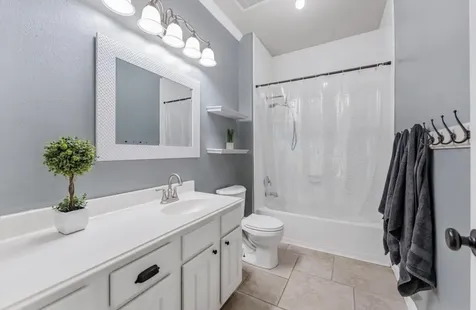 16234 Pine Thorn Drive Houston TX 77095