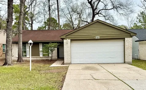18 Dellforest Court The Woodlands TX 77381
