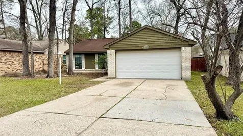 18 Dellforest Court The Woodlands TX 77381
