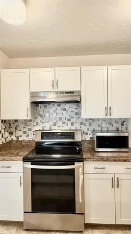 18 Dellforest Court The Woodlands TX 77381