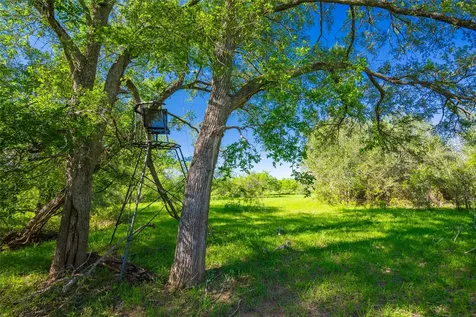 0 Sparta Field Road Waelder TX 78959