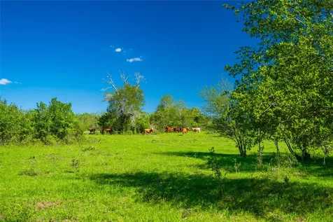 0 Sparta Field Road Waelder TX 78959