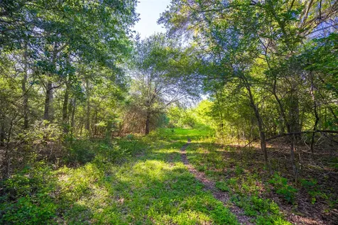 0 Sparta Field Road Waelder TX 78959