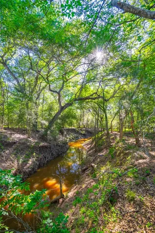 0 Sparta Field Road Waelder TX 78959
