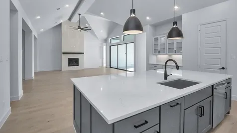 1223 Basset Hound Drive Montgomery TX 77316