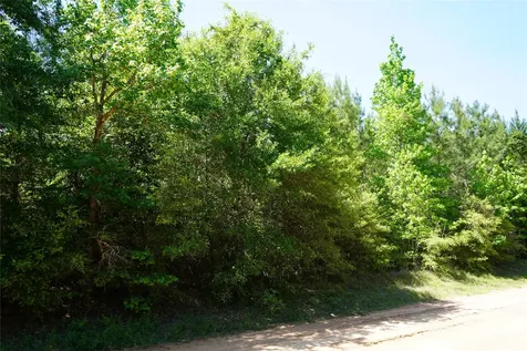 0002 Tbd E Schwab Road Livingston TX 77351