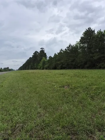 0002 Tbd E Schwab Road Livingston TX 77351