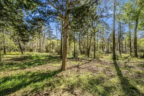 1337 Green Briar Drive Huntsville TX 77340