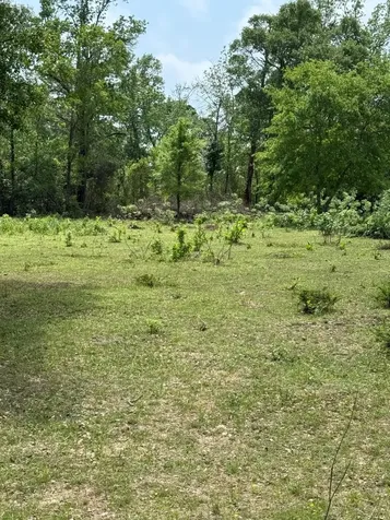 0000 Denson Reed Road Cleveland TX 77328