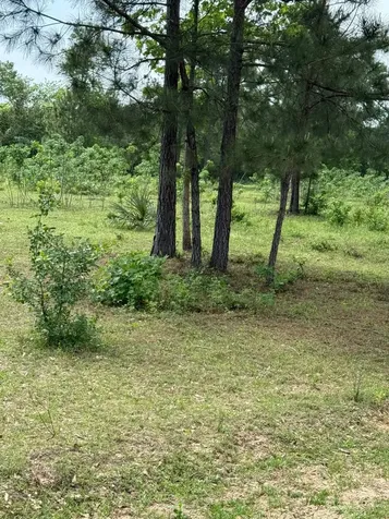0000 Denson Reed Road Cleveland TX 77328