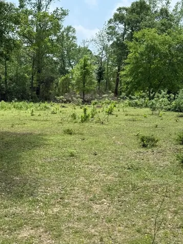 0000 Denson Reed Road Cleveland TX 77328