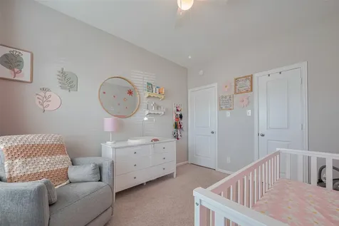 2446 Palisade Crest Drive Rosharon TX 77583