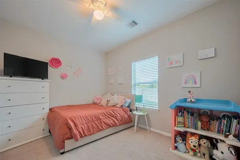 2446 Palisade Crest Drive Rosharon TX 77583