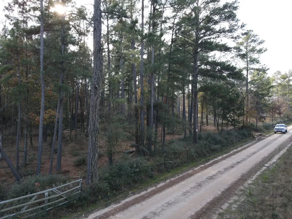 Lot 3 County Road 4025 Lovelady TX 75851