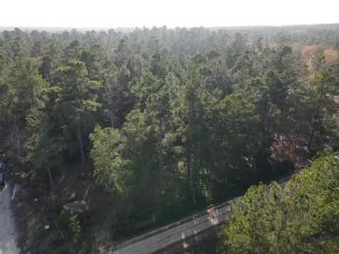 Lot 3 County Road 4025 Lovelady TX 75851