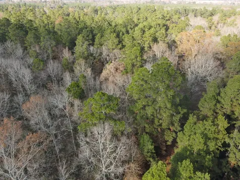 Lot 3 County Road 4025 Lovelady TX 75851