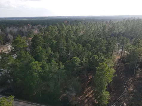 Lot 3 County Road 4025 Lovelady TX 75851