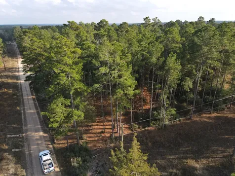 Lot 3 County Road 4025 Lovelady TX 75851