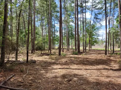 Lot 3 County Road 4025 Lovelady TX 75851