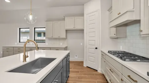 433 Sprigtail Drive Katy TX 77493