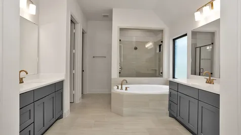 433 Sprigtail Drive Katy TX 77493
