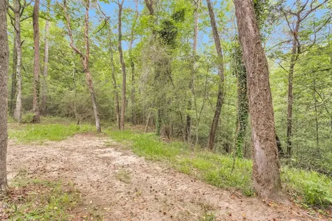 24614 Spruce Huntsville TX 77320