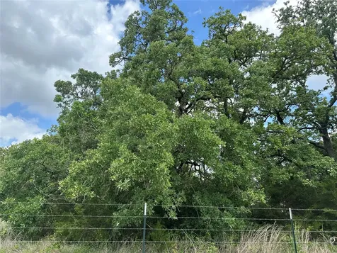 2523 County Road 133 Giddings TX 78942