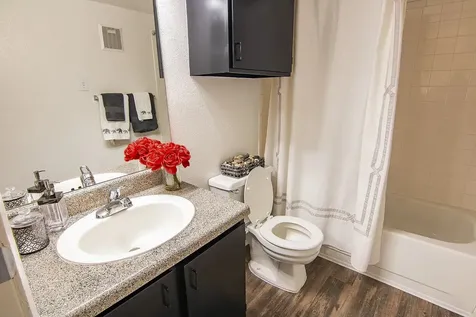 15100 Golden Eagle Drive 506 Humble TX 77396
