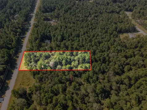 185 Rim Rock Road Huntsville TX 77340