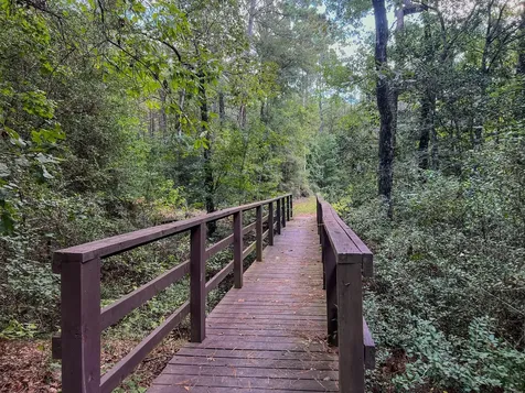 185 Rim Rock Road Huntsville TX 77340