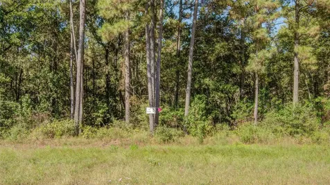 185 Rim Rock Road Huntsville TX 77340