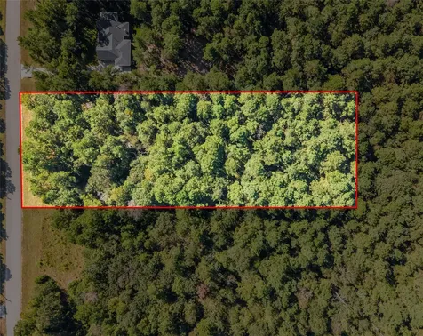 185 Rim Rock Road Huntsville TX 77340
