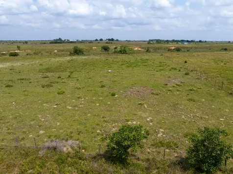 Tbd Wolchik Road Sealy TX 77474