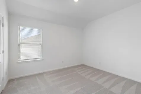 21118 Rio San Jose Court Cypress TX 77433
