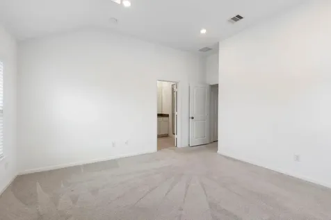 21118 Rio San Jose Court Cypress TX 77433