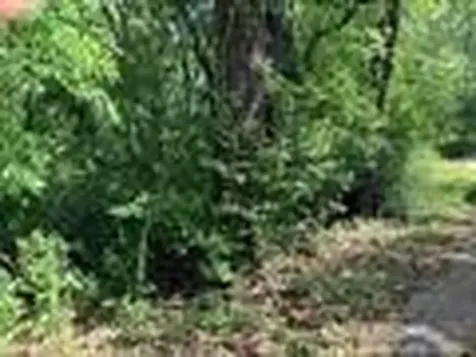 1023 S Peach Avenue Tyler TX 75701