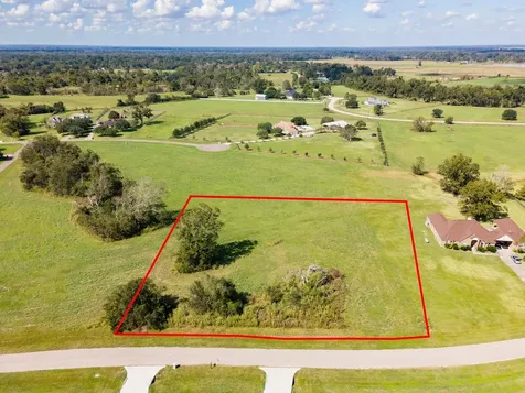 3410 Tankersley Circle Rosharon TX 77583