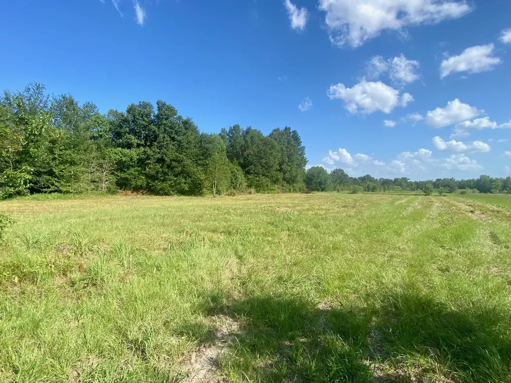 Lot #134 Jb Mcduff Drive Crockett TX 75835
