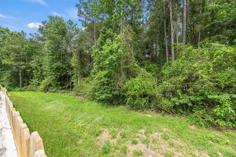 21347 Rachel Manor Drive Hockley TX 77447