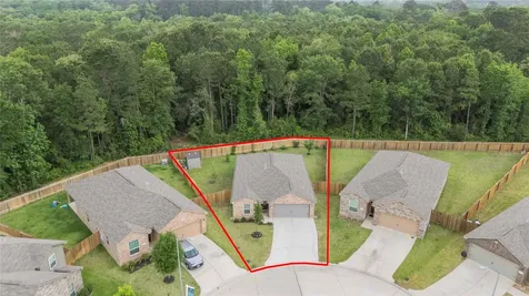 21347 Rachel Manor Drive Hockley TX 77447