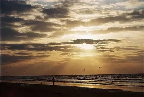 7000 Seawall Boulevard 721 Galveston TX 77551