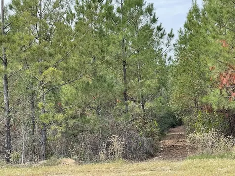 15309 Forest Grove Drive Willis TX 77378