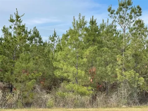 15309 Forest Grove Drive Willis TX 77378