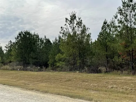 15309 Forest Grove Drive Willis TX 77378