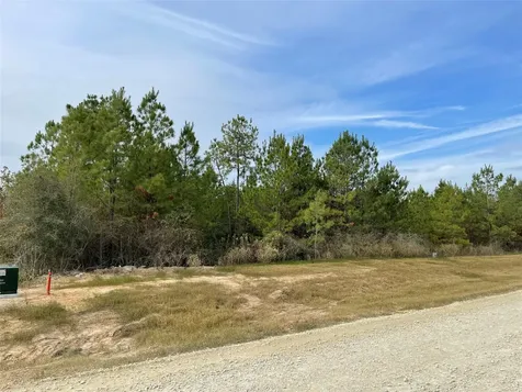 15309 Forest Grove Drive Willis TX 77378