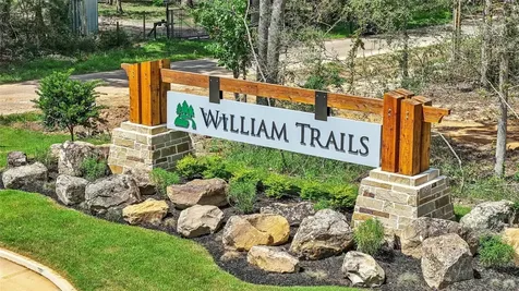 14541 William Trails Drive Willis TX 77378