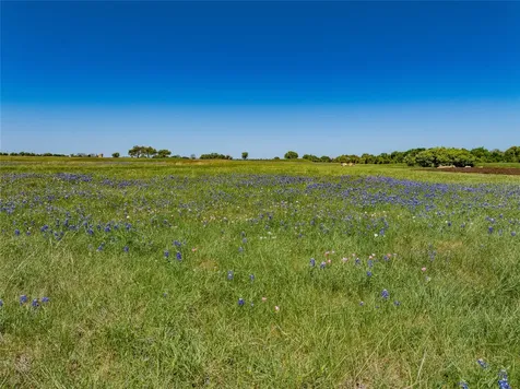 Tbd W Fm 1291 Round Top TX 78954